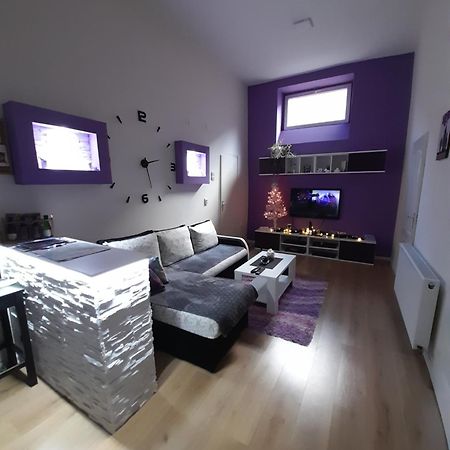 Apartman Lela Vrsac Exterior photo