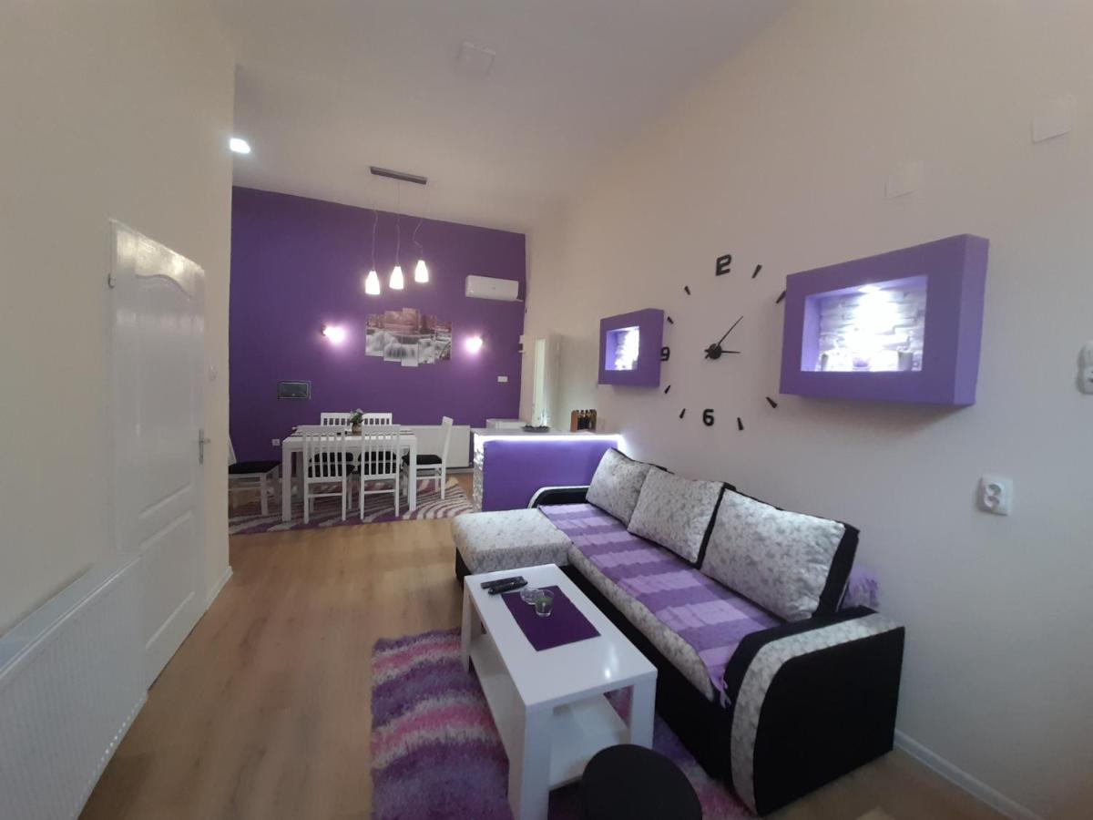 Apartman Lela Vrsac Exterior photo