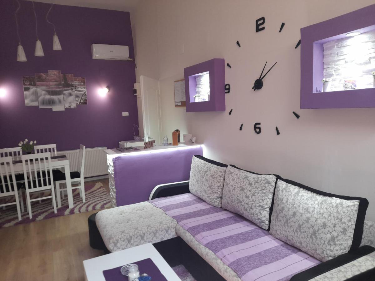 Apartman Lela Vrsac Exterior photo