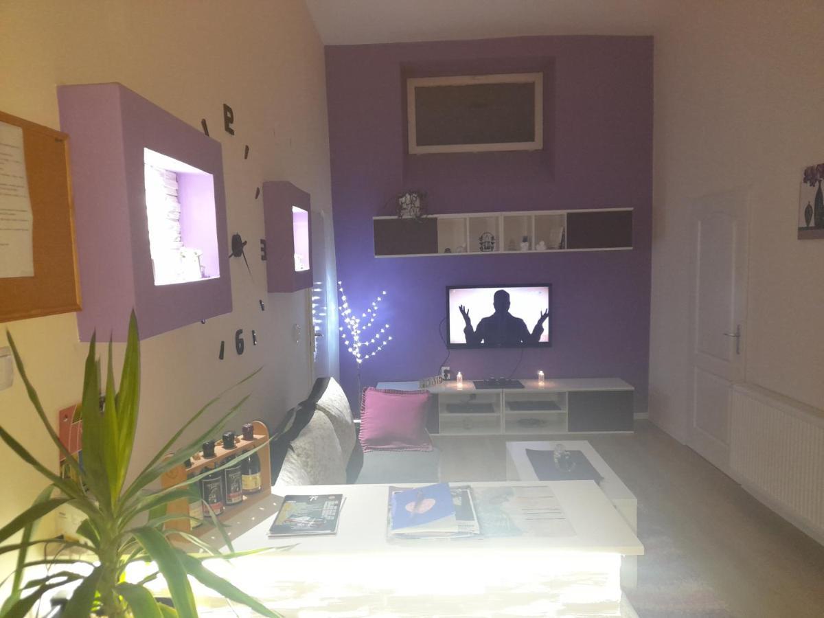 Apartman Lela Vrsac Exterior photo