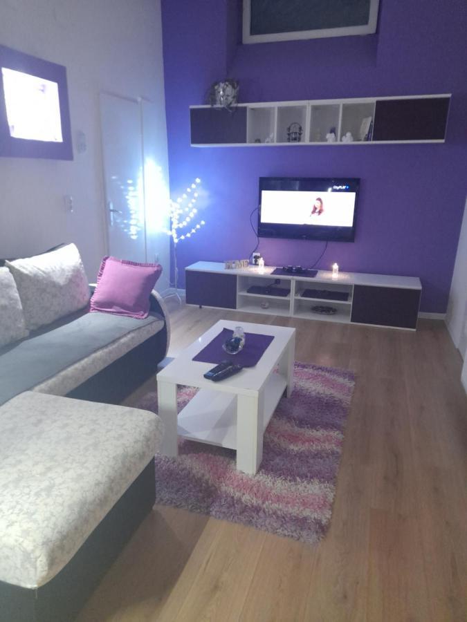 Apartman Lela Vrsac Exterior photo