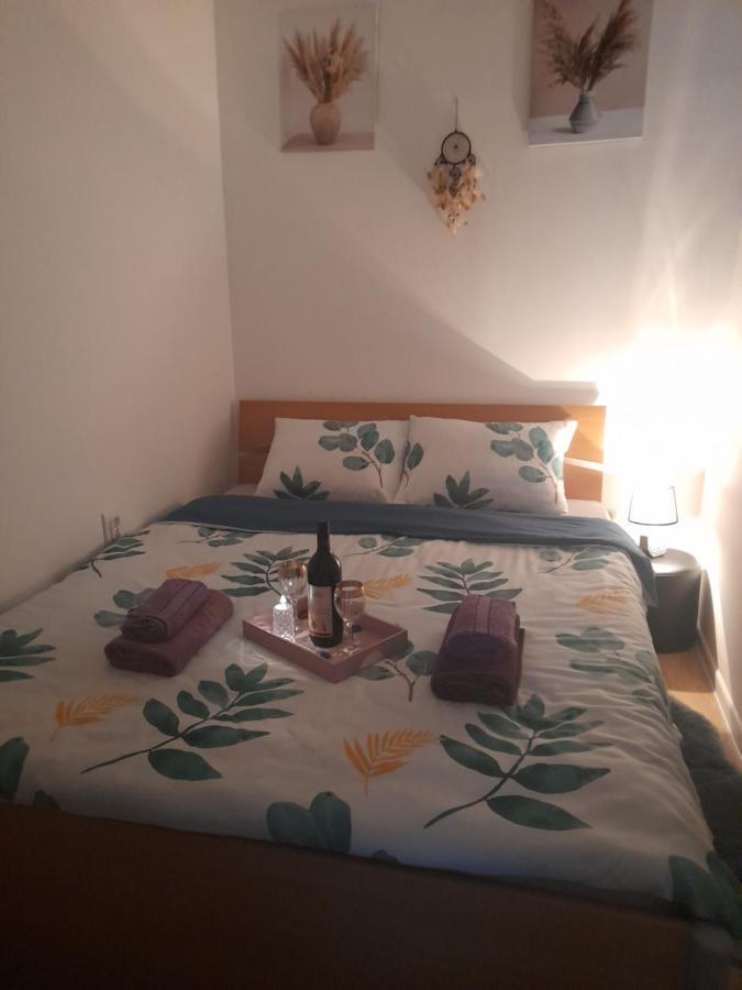 Apartman Lela Vrsac Exterior photo