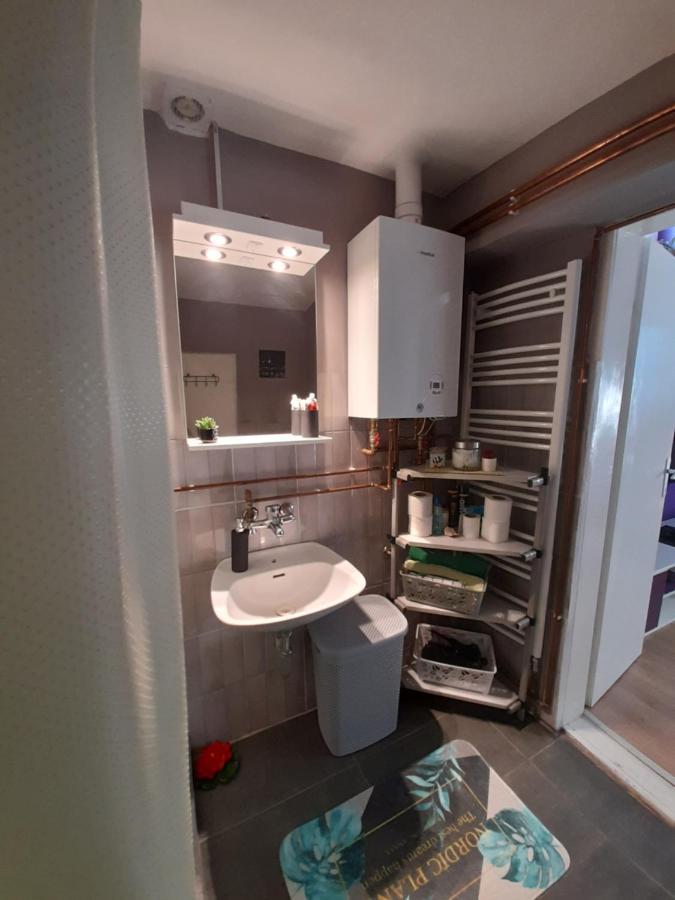 Apartman Lela Vrsac Exterior photo