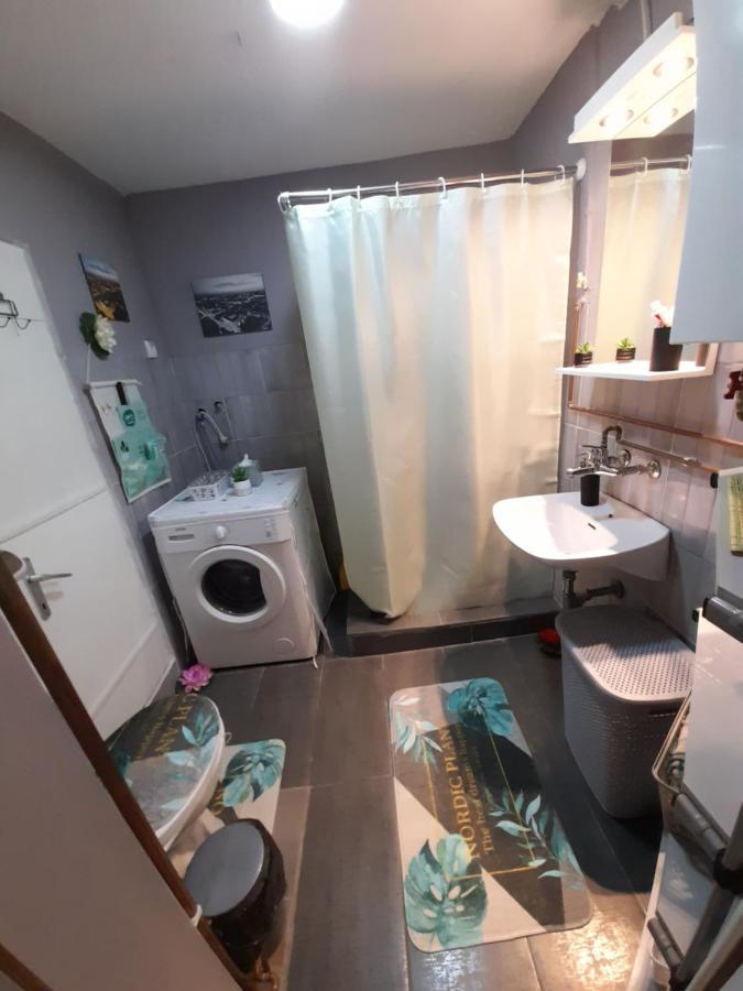 Apartman Lela Vrsac Exterior photo