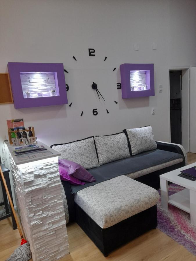 Apartman Lela Vrsac Exterior photo