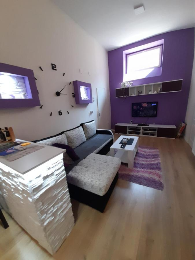 Apartman Lela Vrsac Exterior photo