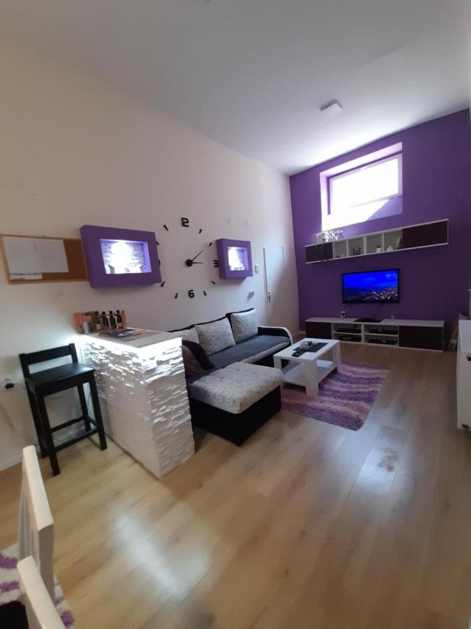 Apartman Lela Vrsac Exterior photo