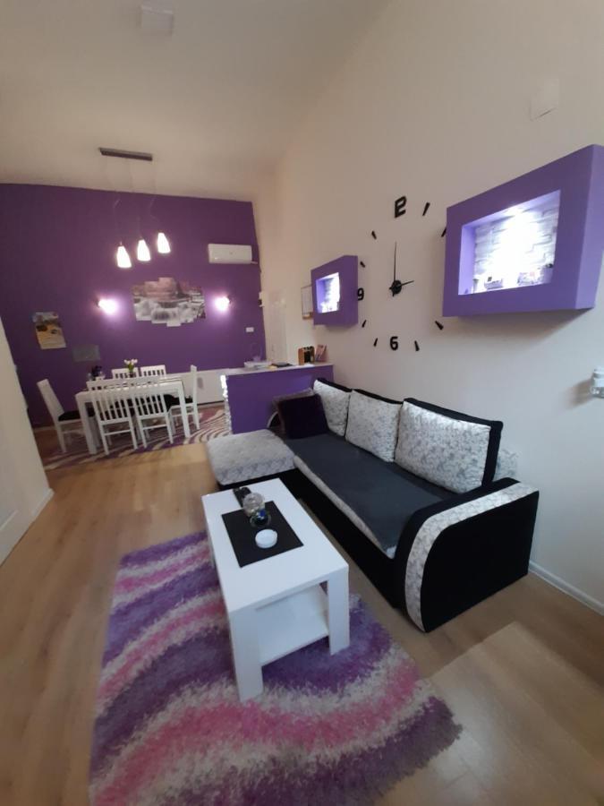 Apartman Lela Vrsac Exterior photo