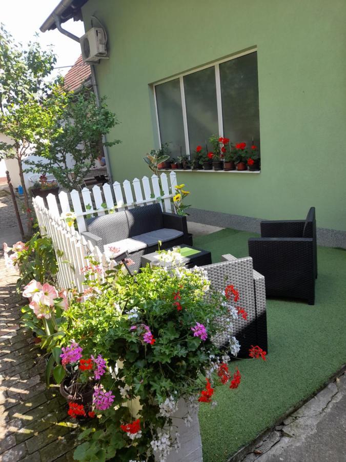 Apartman Lela Vrsac Exterior photo